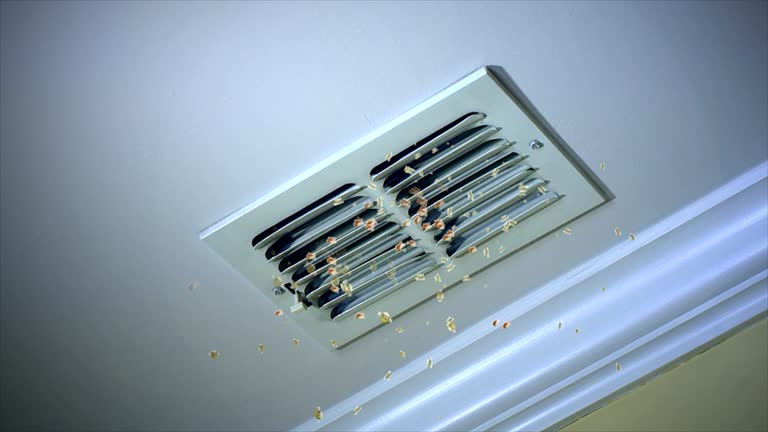 Best HVAC Air Duct Cleaning  in Montgomery, IN